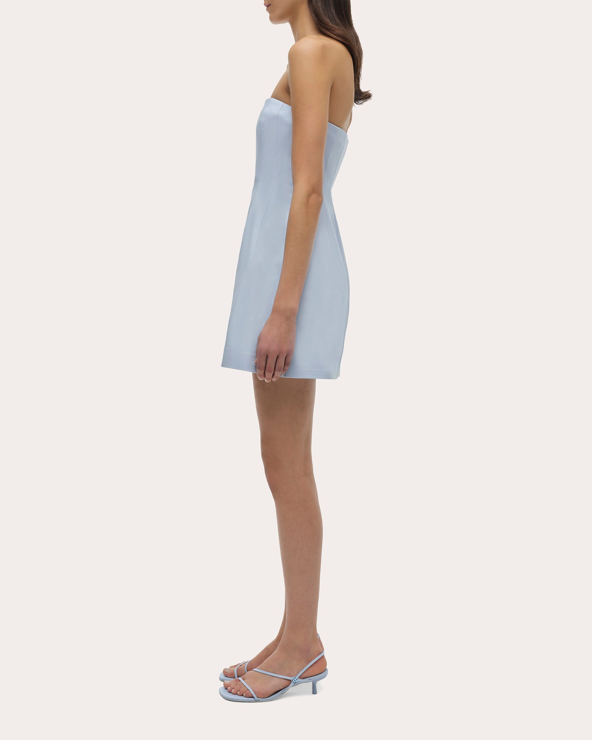 Arta Strapless Bustier Mini Dress