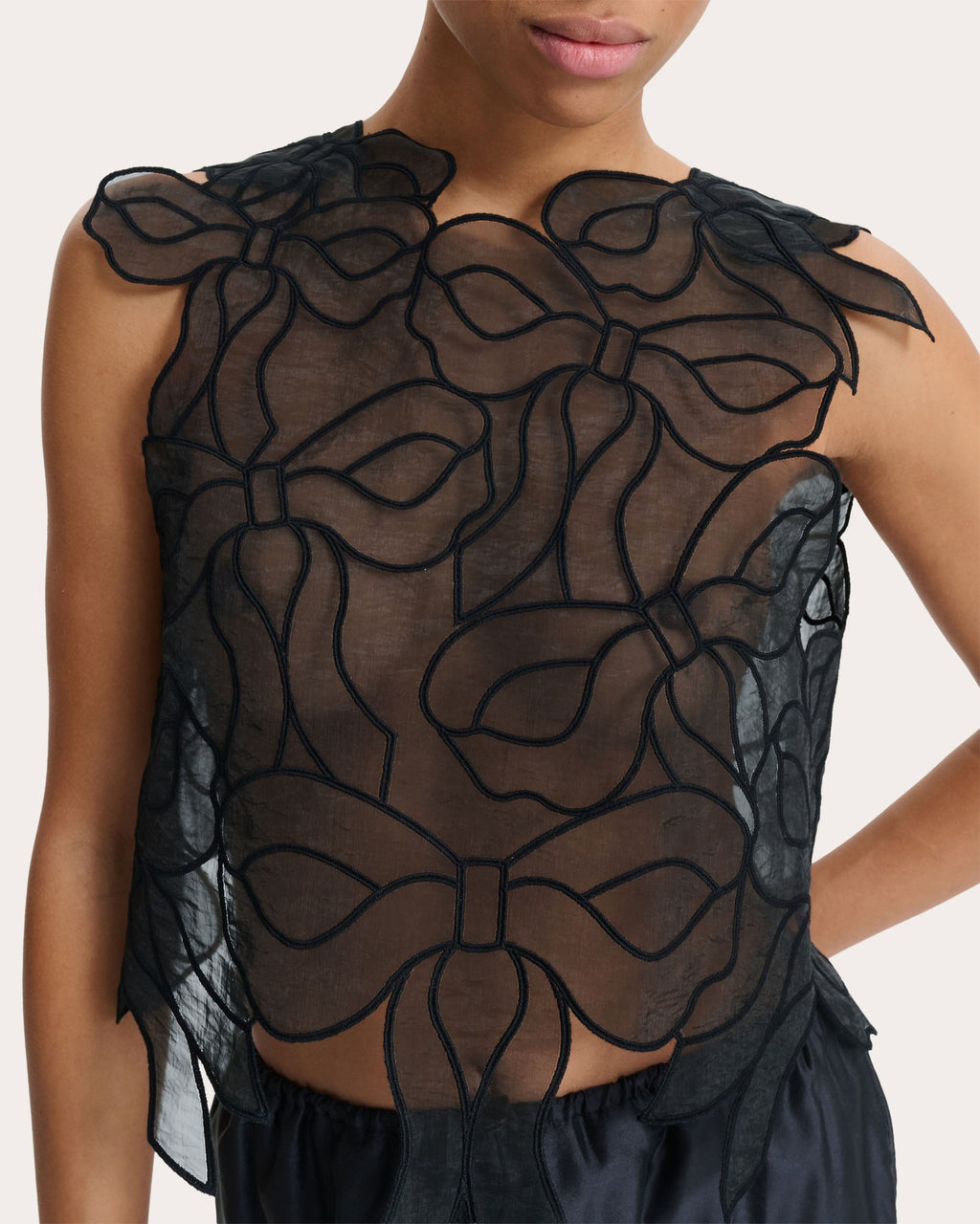 Aya Sheer Organza Embroidered Bow Top