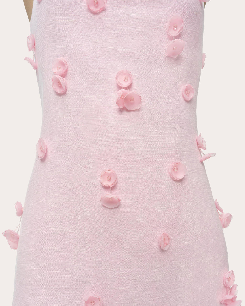 Cailinn Floral Appliqué Structured Mini Dress