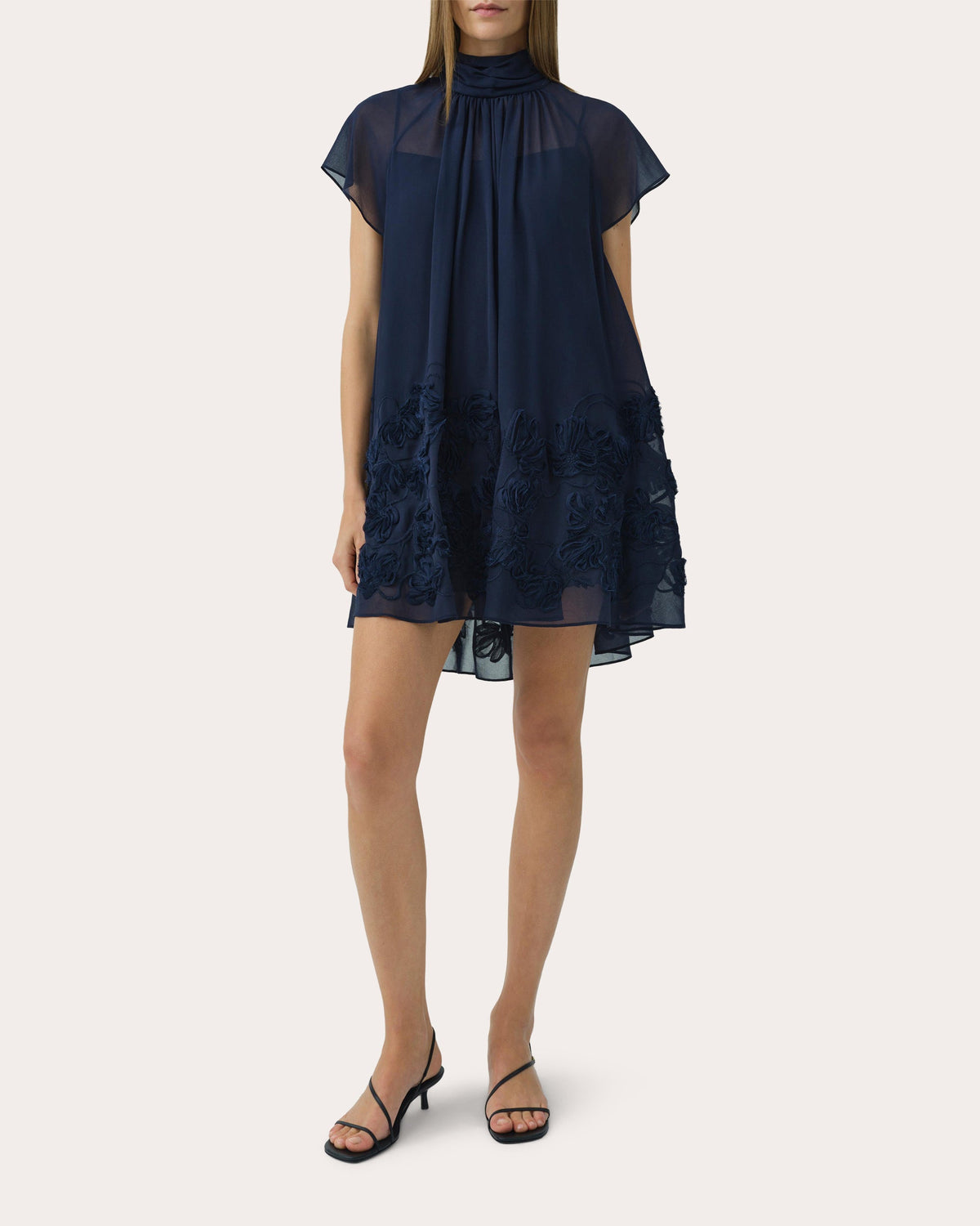 Aviel Embroidered Chiffon Mini Dress
