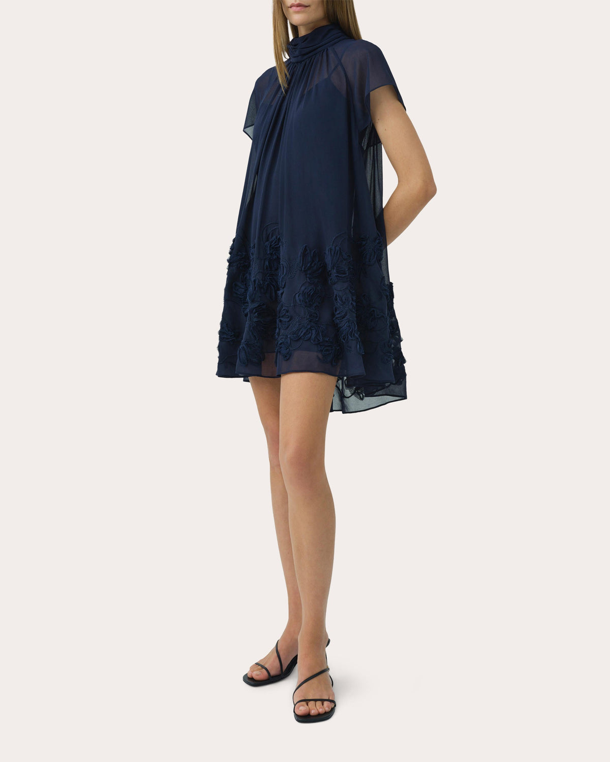 Aviel Embroidered Chiffon Mini Dress