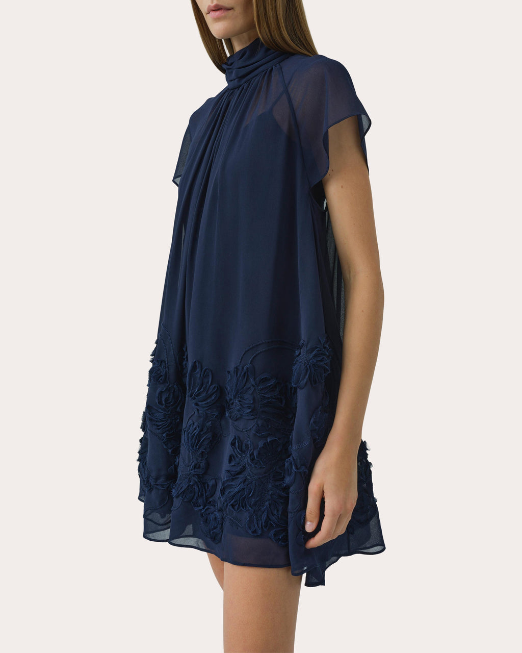 Aviel Embroidered Chiffon Mini Dress
