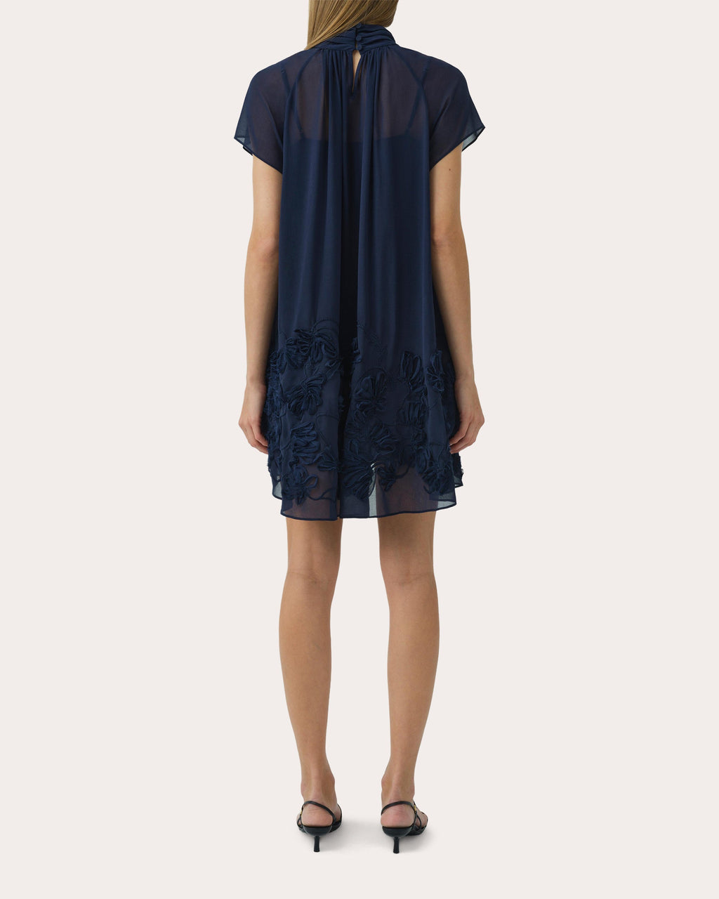Aviel Embroidered Chiffon Mini Dress