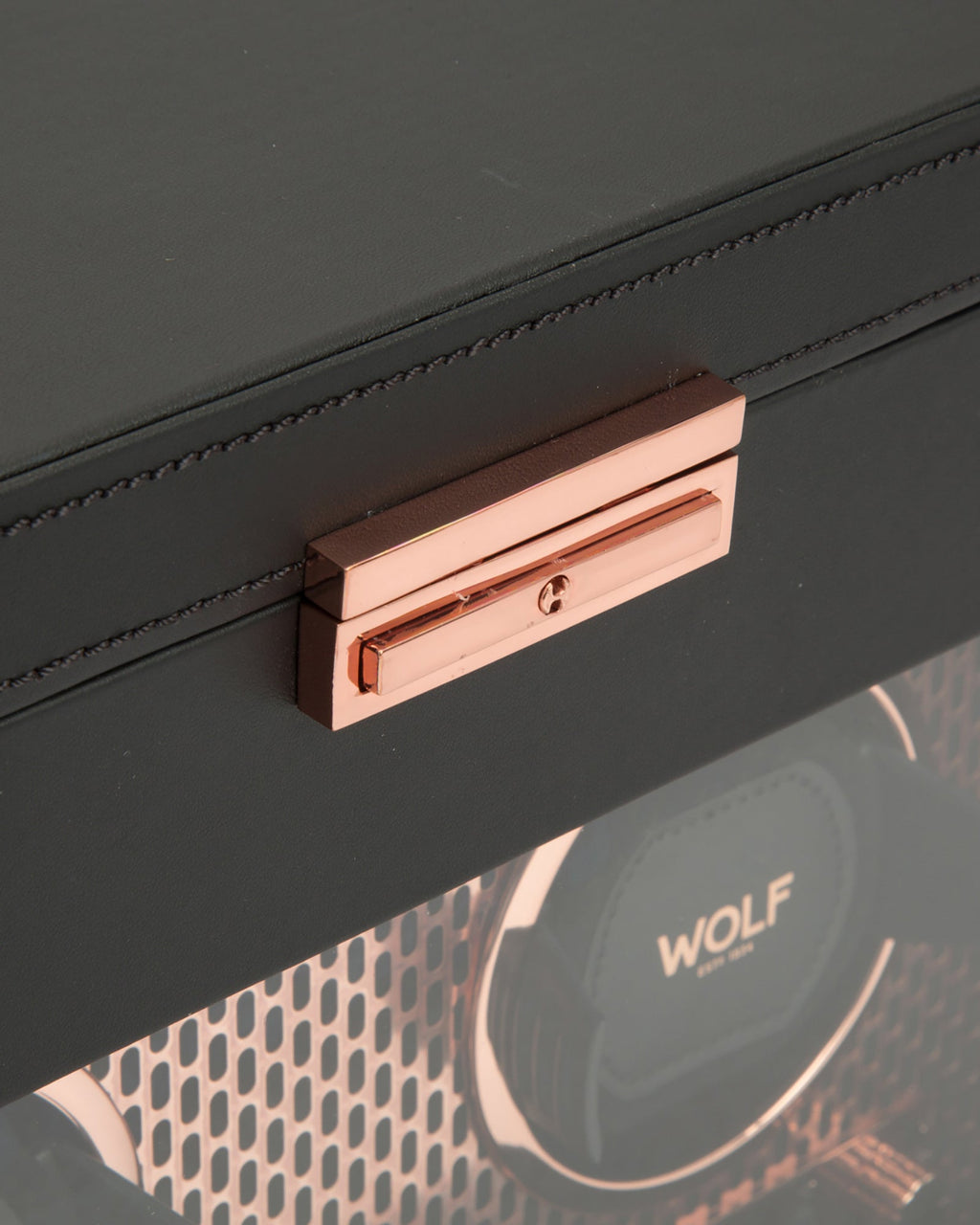 Axis Double Watch Winder Storage Case