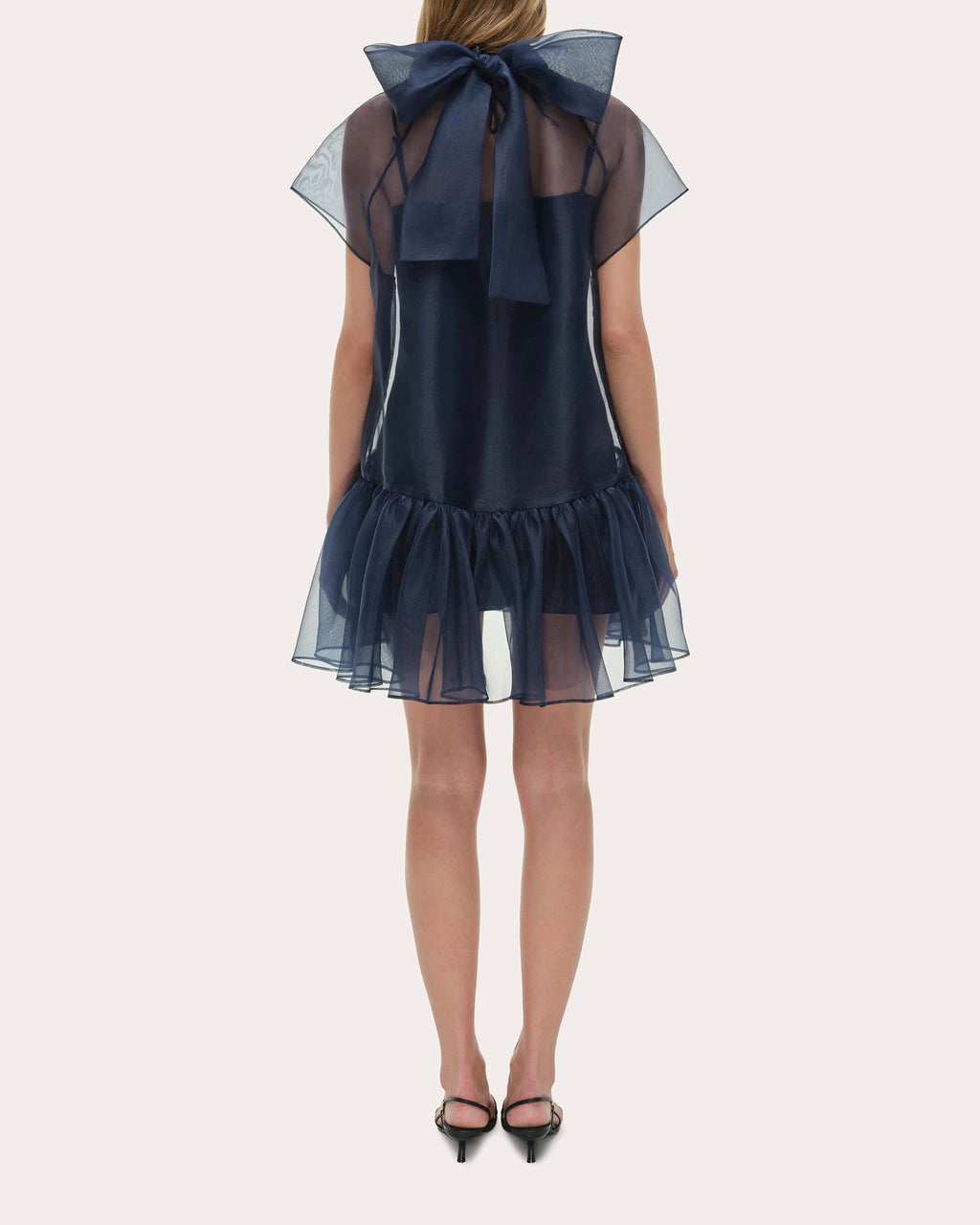 Beaux Organza Gathered Drop-Waist Mini Dress