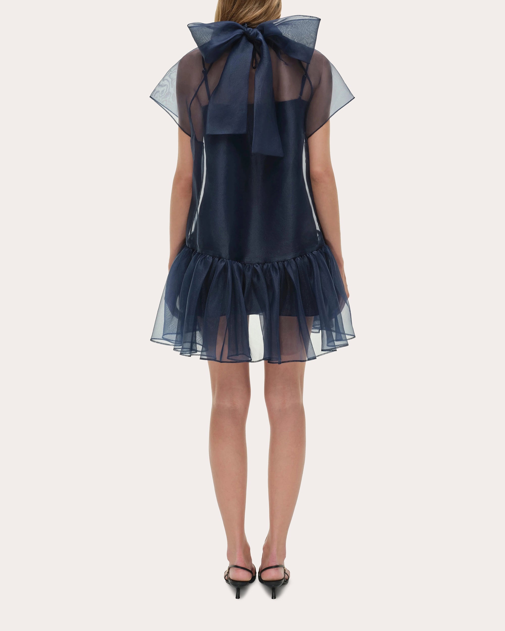 Beaux Organza Gathered Drop-Waist Mini Dress