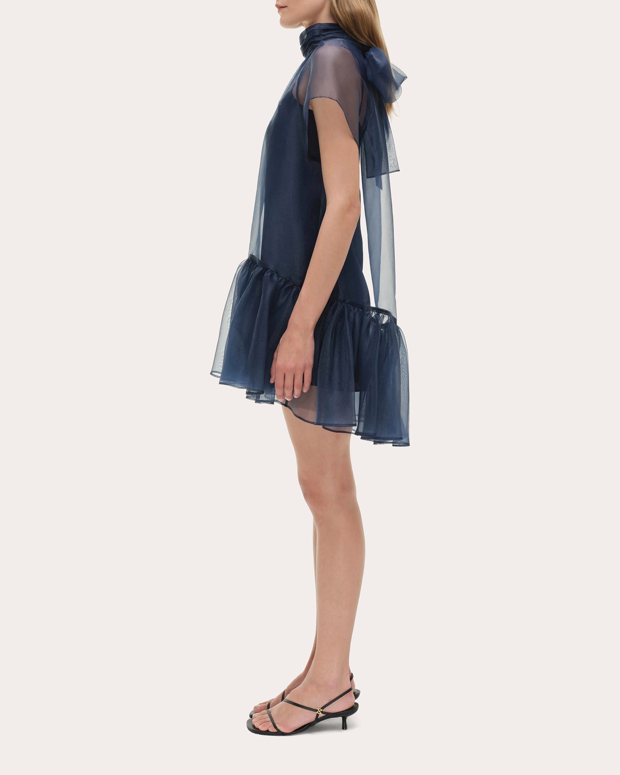 Beaux Organza Gathered Drop-Waist Mini Dress
