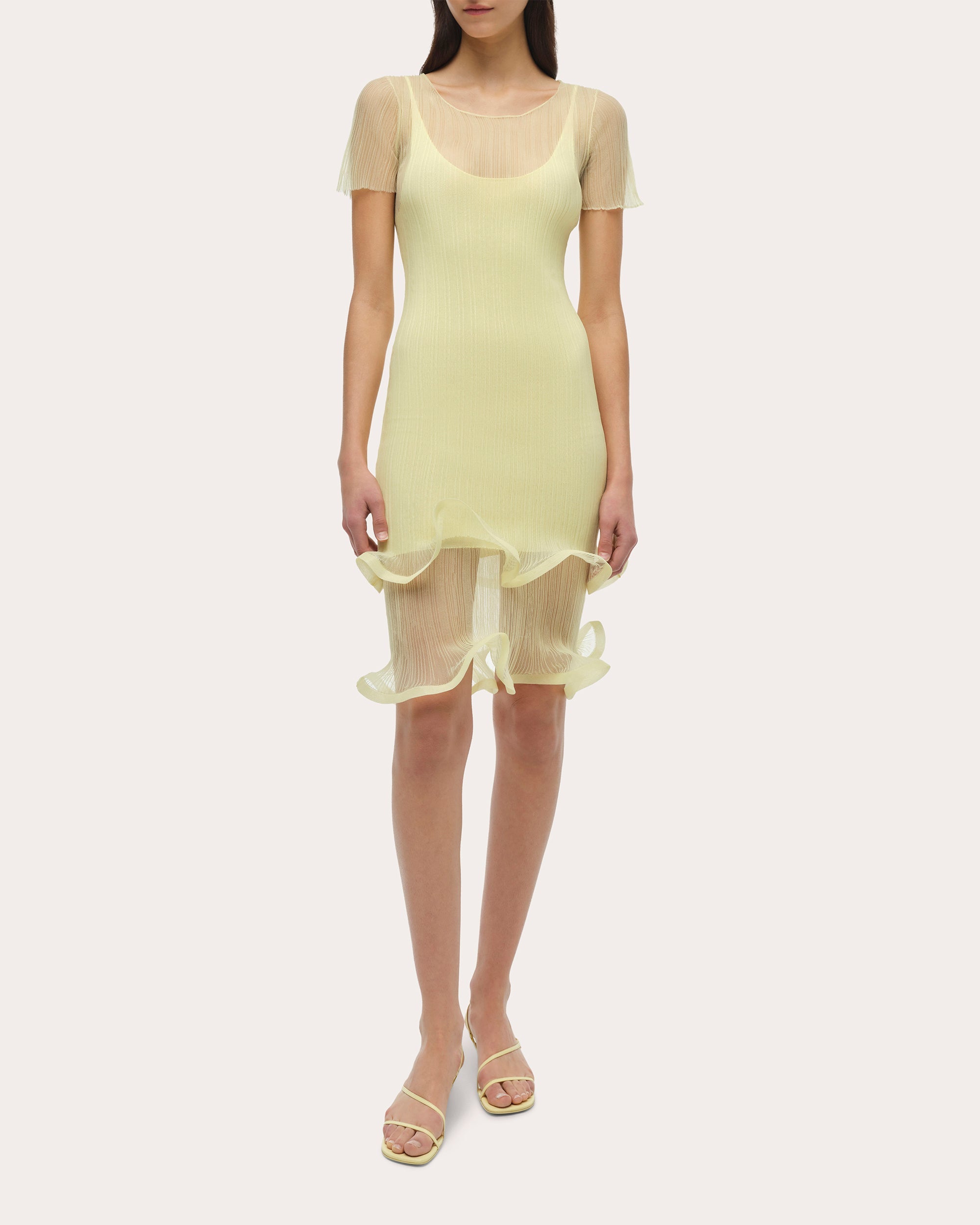 Jett Sheer Plissé Ruffle Mini Dress