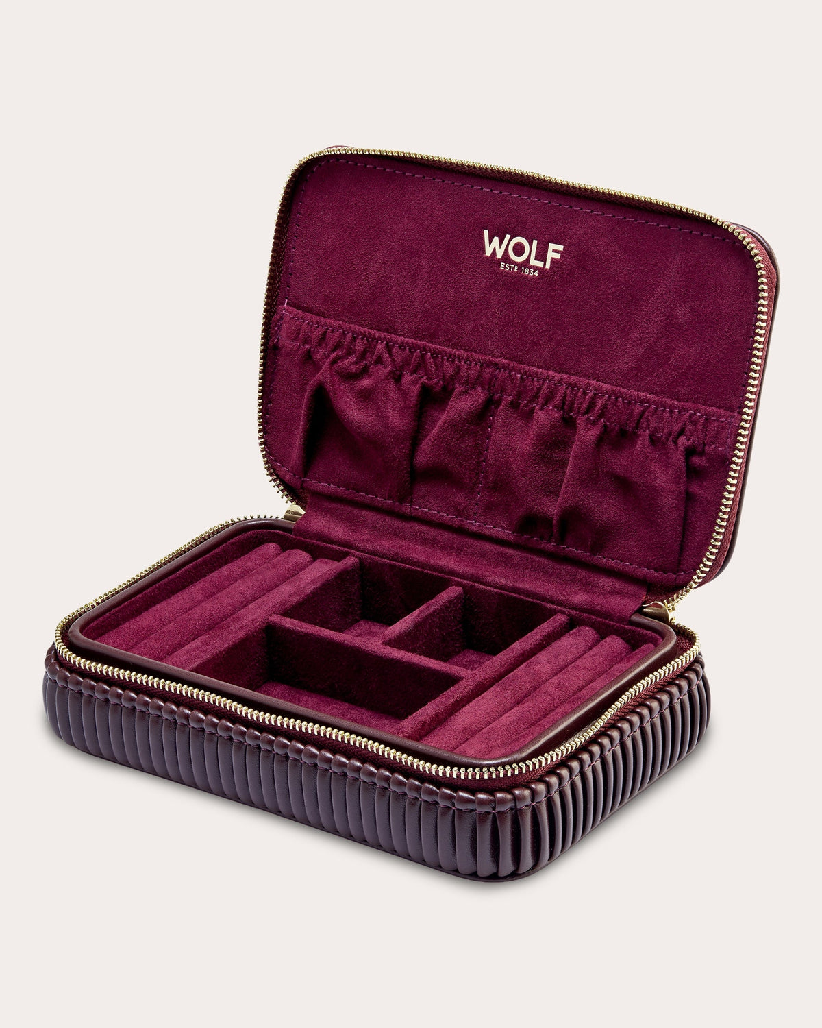 Bella Pleated Zip Jewelry Case