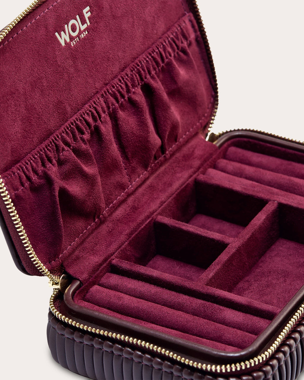 Bella Pleated Zip Jewelry Case