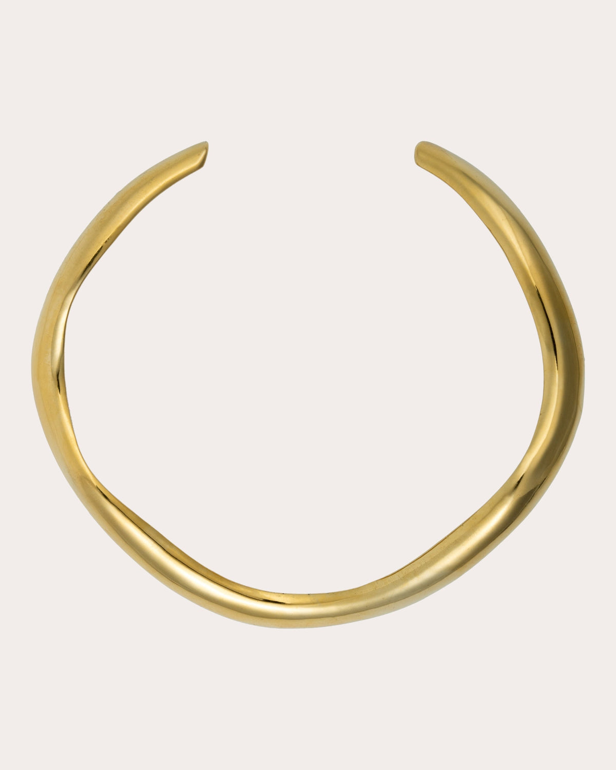 Amazonia Collar Choker Necklace
