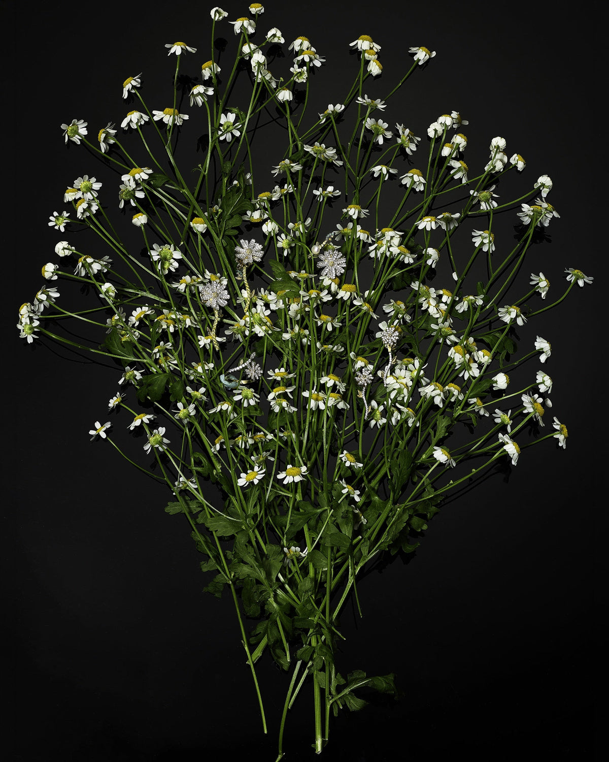 White & Canary Diamond Daisy Earrings