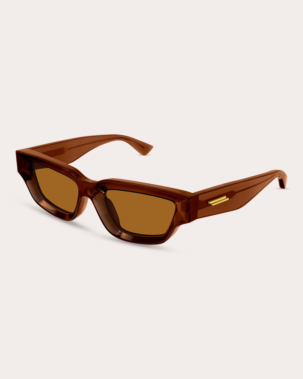Transparent Brown Edgy Cat-Eye Sunglasses