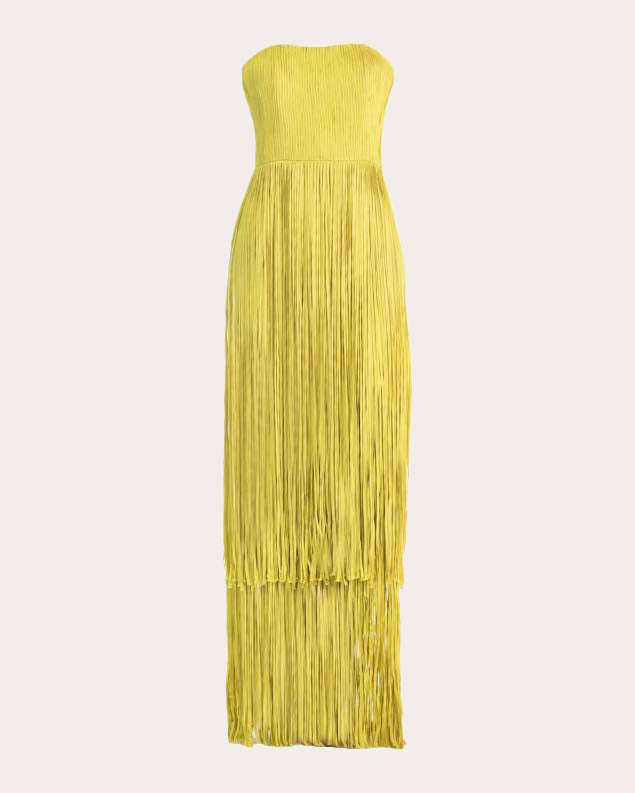 Anid Silk Fringe Strapless Gown