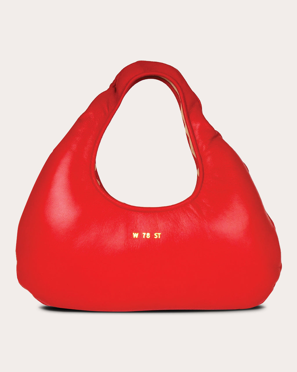 Micro Cloud Leather Tote