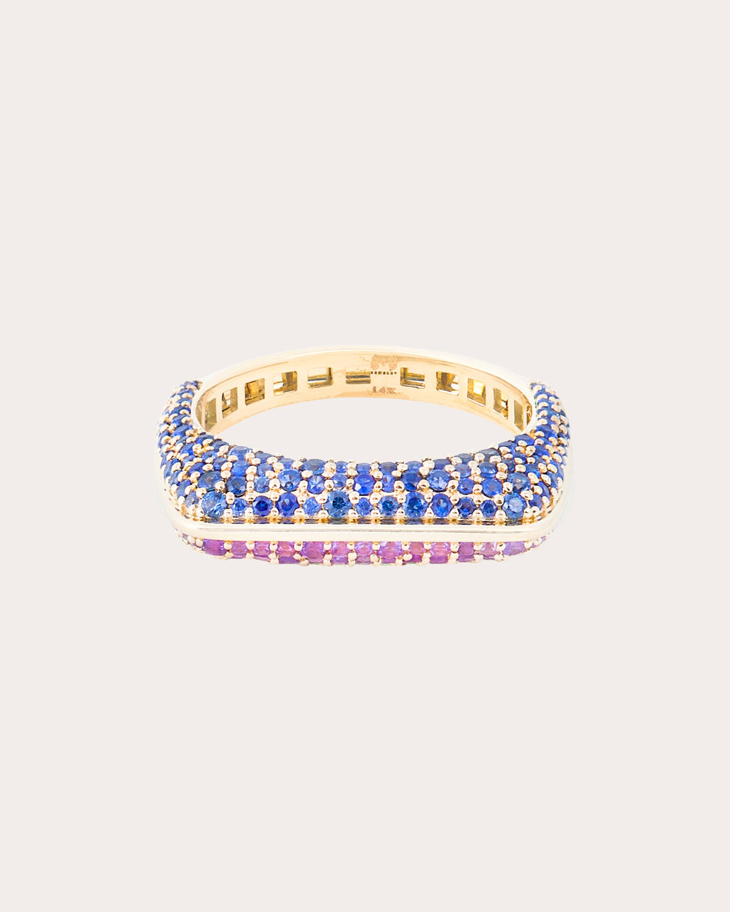 Amethyst & Sapphire Found Rib Curve Band Ring