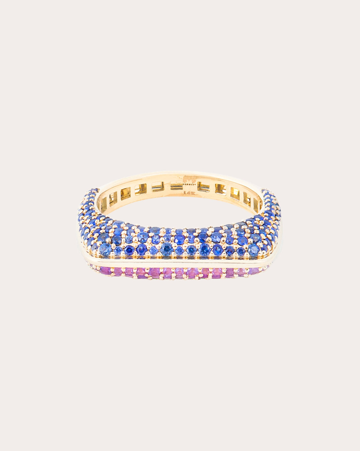Amethyst & Sapphire Found Rib Curve Band Ring