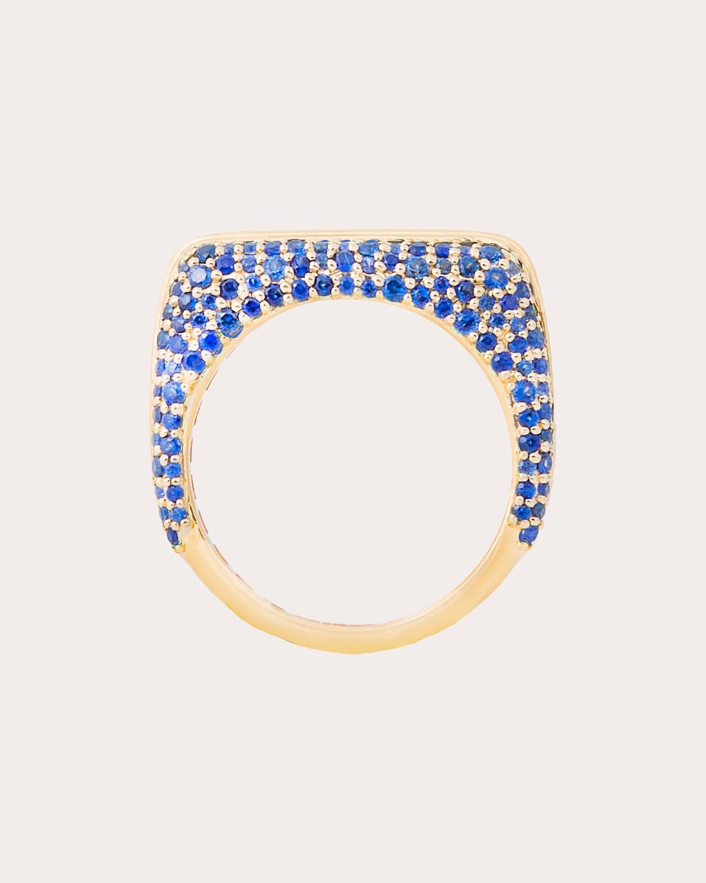 Amethyst & Sapphire Found Rib Curve Band Ring