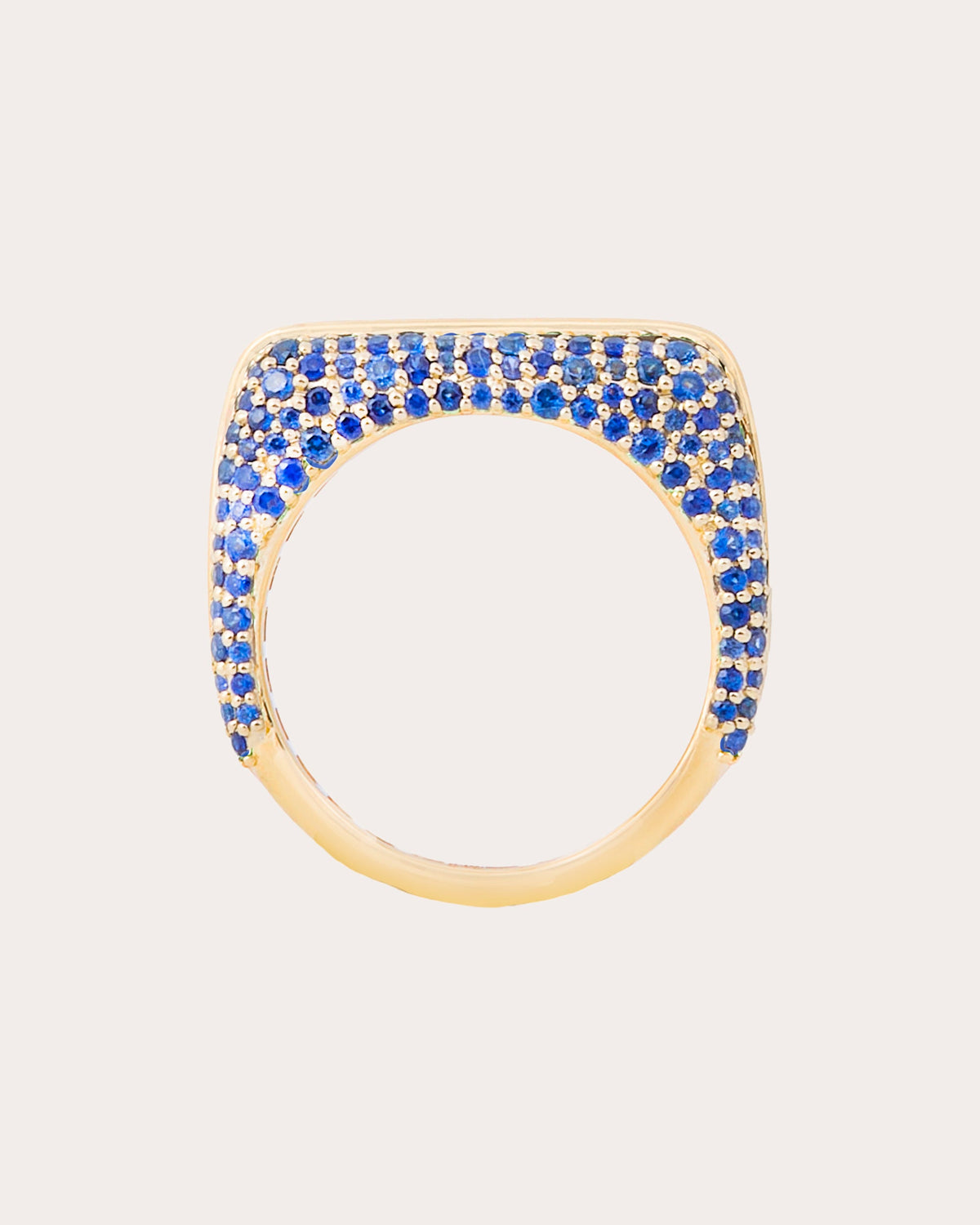 Amethyst & Sapphire Found Rib Curve Band Ring