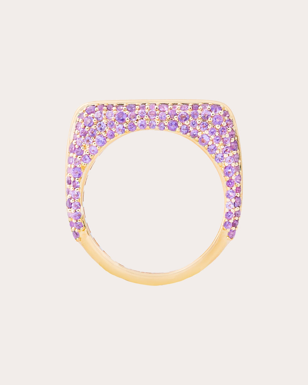 Amethyst & Sapphire Found Rib Curve Band Ring