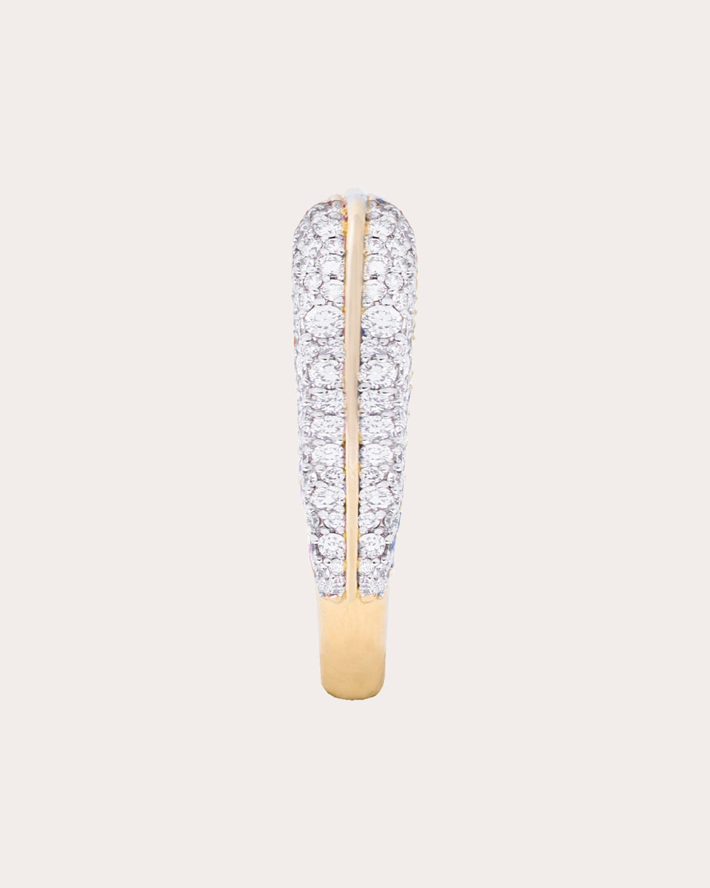 Diamond Found Rib Curve Band Ring