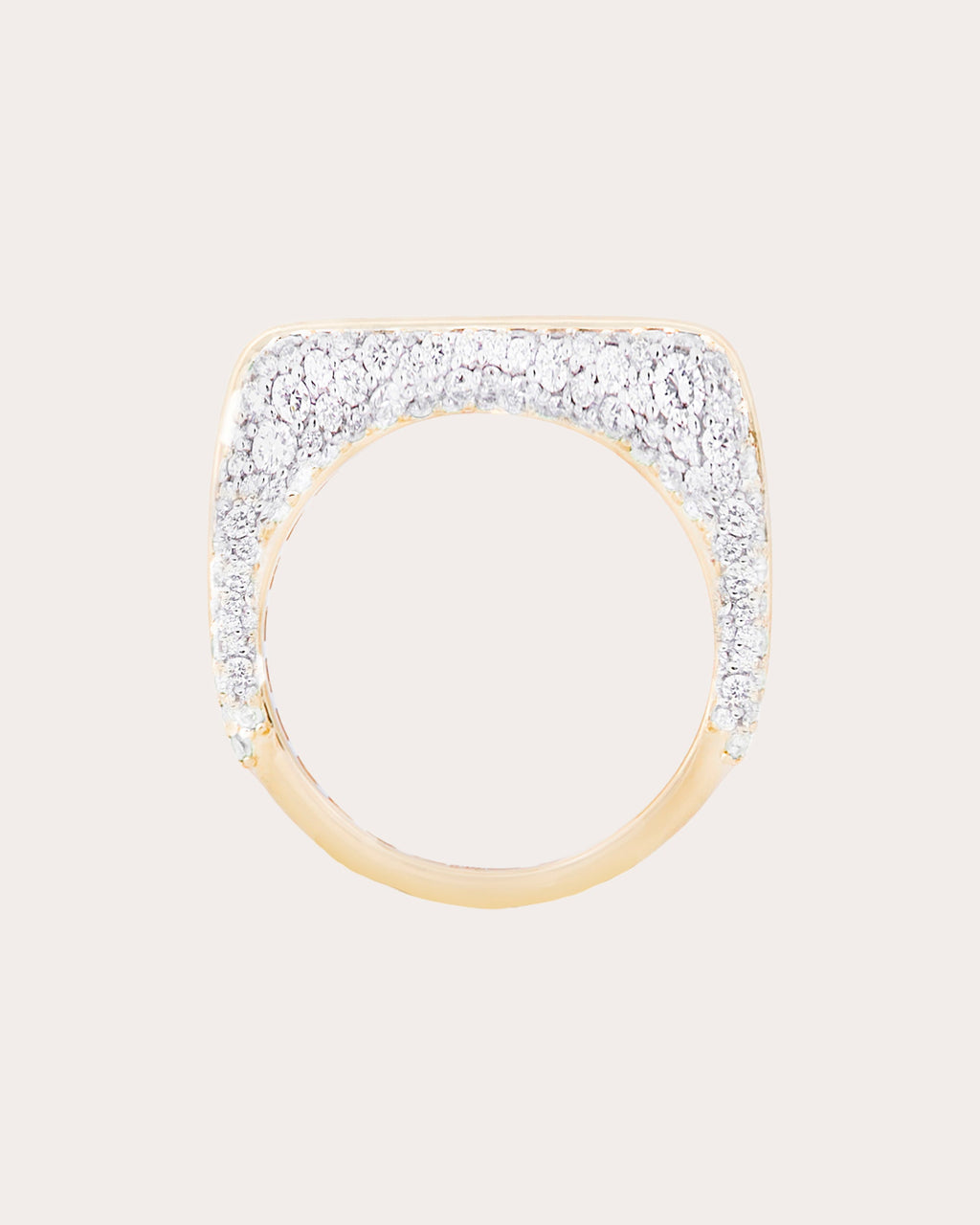 Diamond Found Rib Curve Band Ring