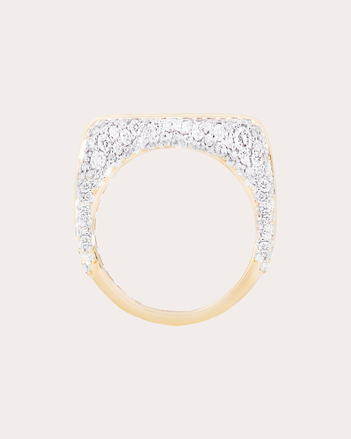 Diamond Found Rib Curve Band Ring