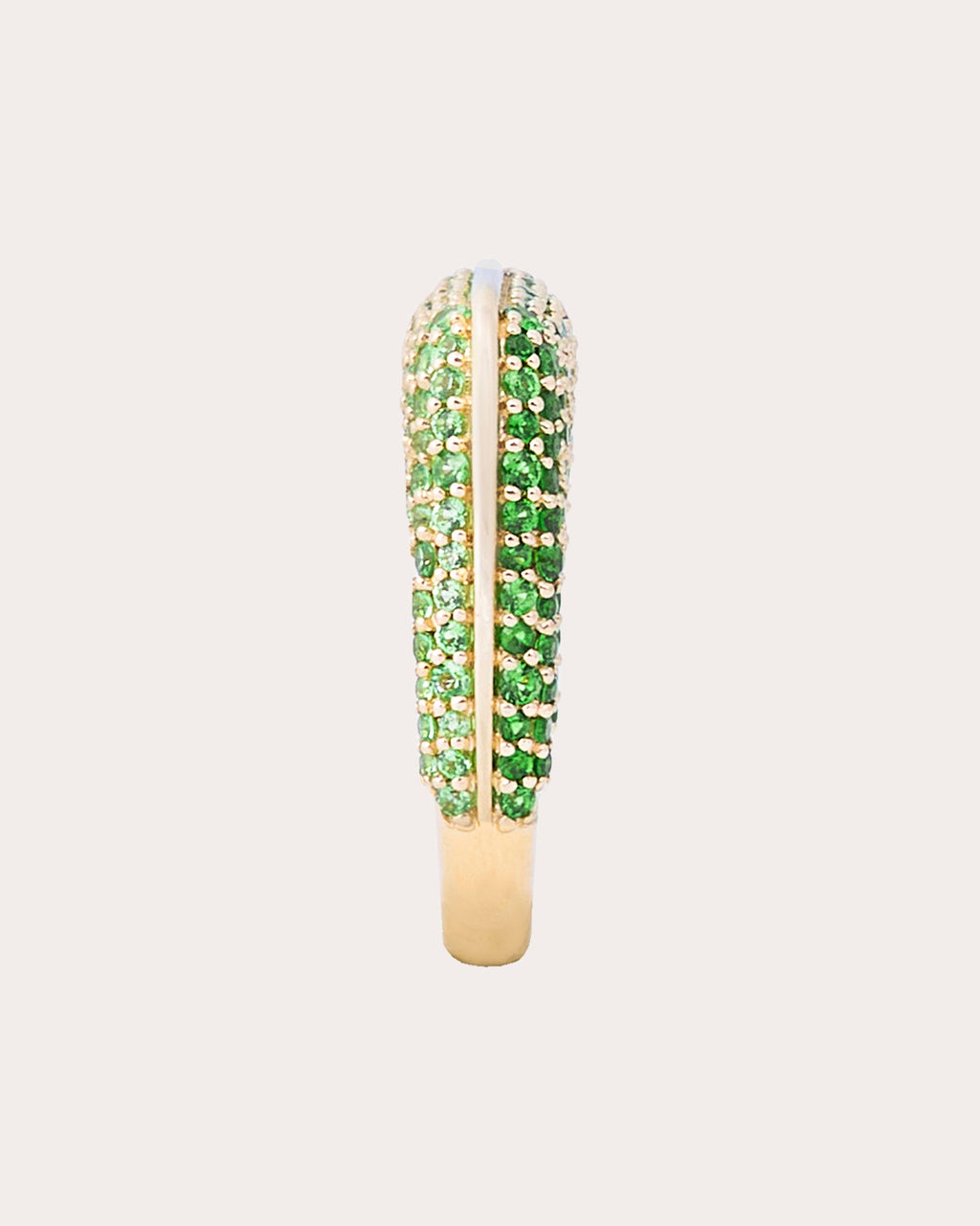 Tsavorite Found Rib Curve Band Ring