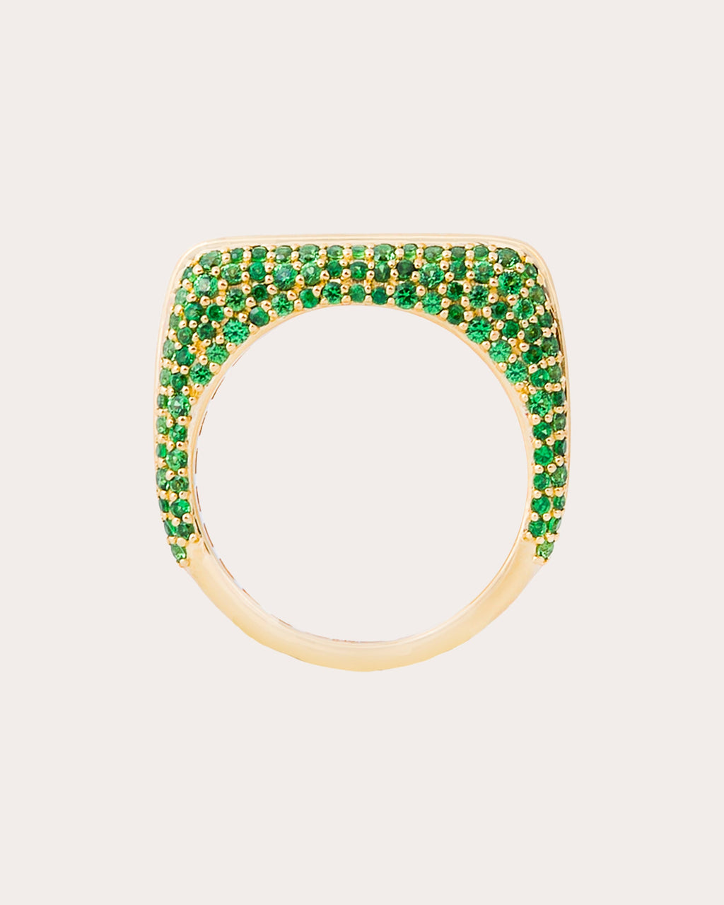 Tsavorite Found Rib Curve Band Ring