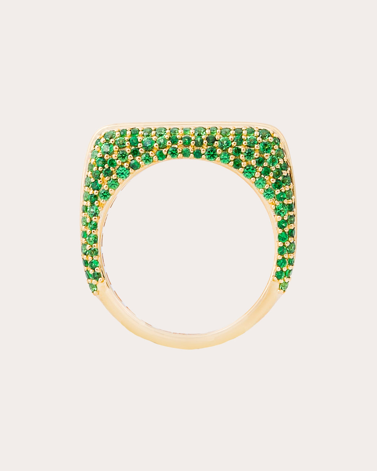 Tsavorite Found Rib Curve Band Ring