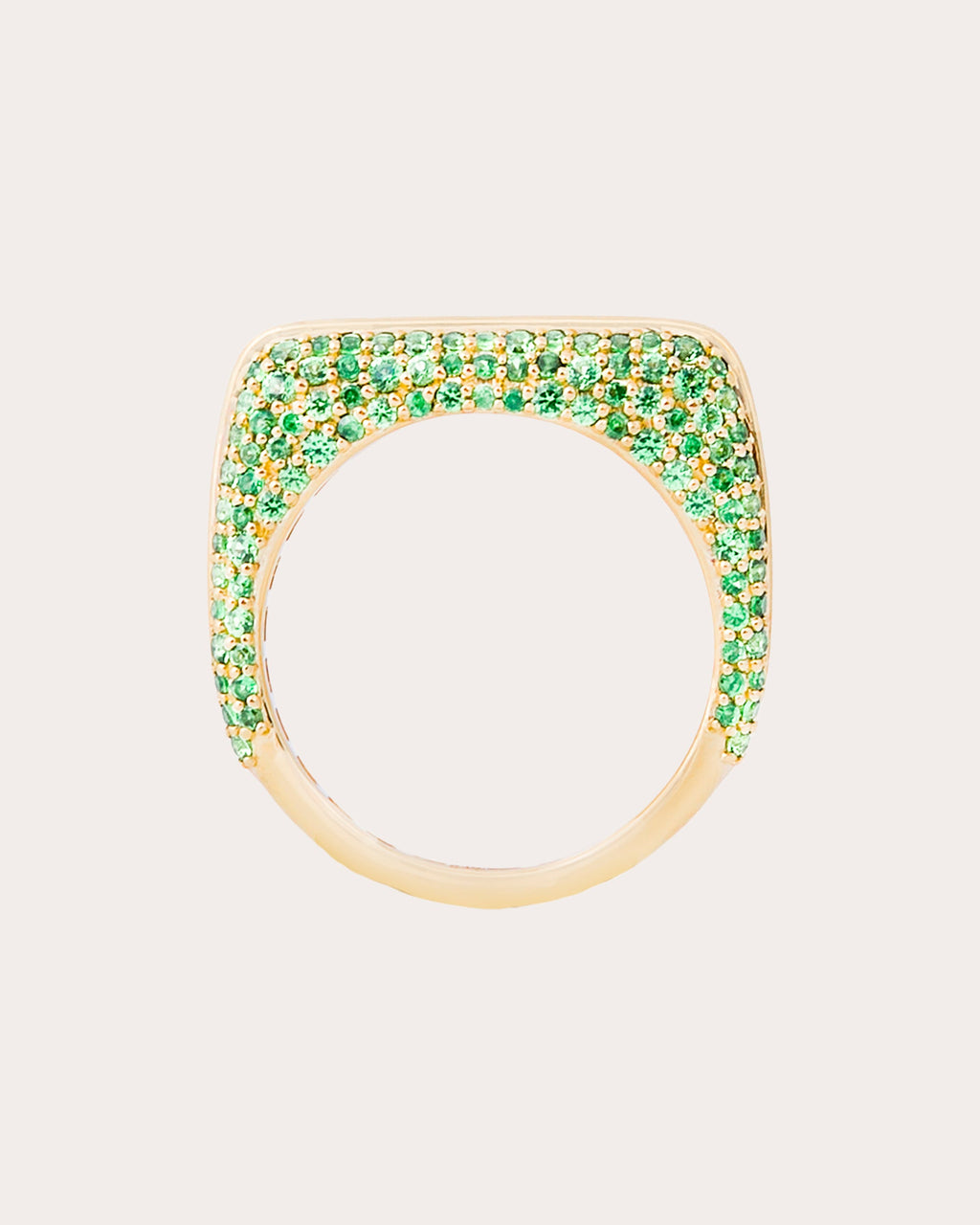 Tsavorite Found Rib Curve Band Ring