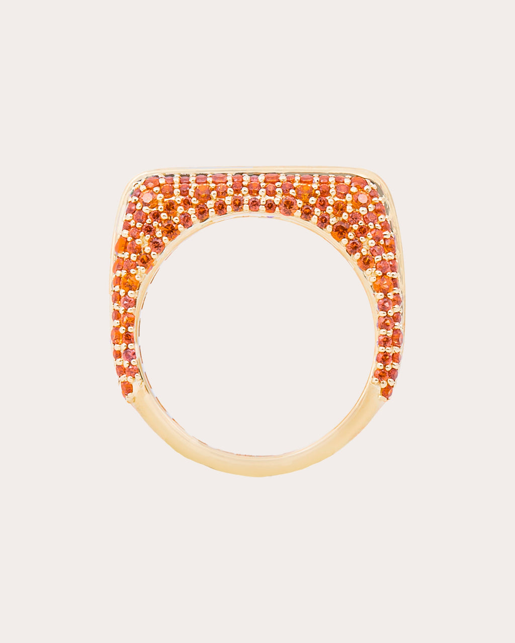 Multicolor Sapphire Found Rib Curve Band Ring