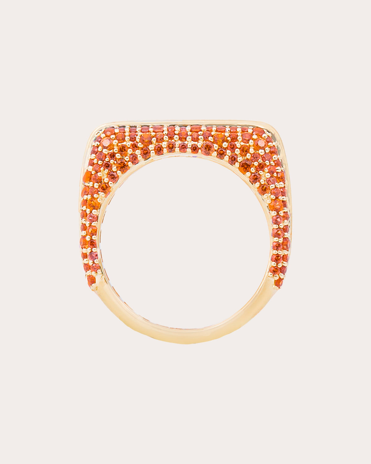 Multicolor Sapphire Found Rib Curve Band Ring