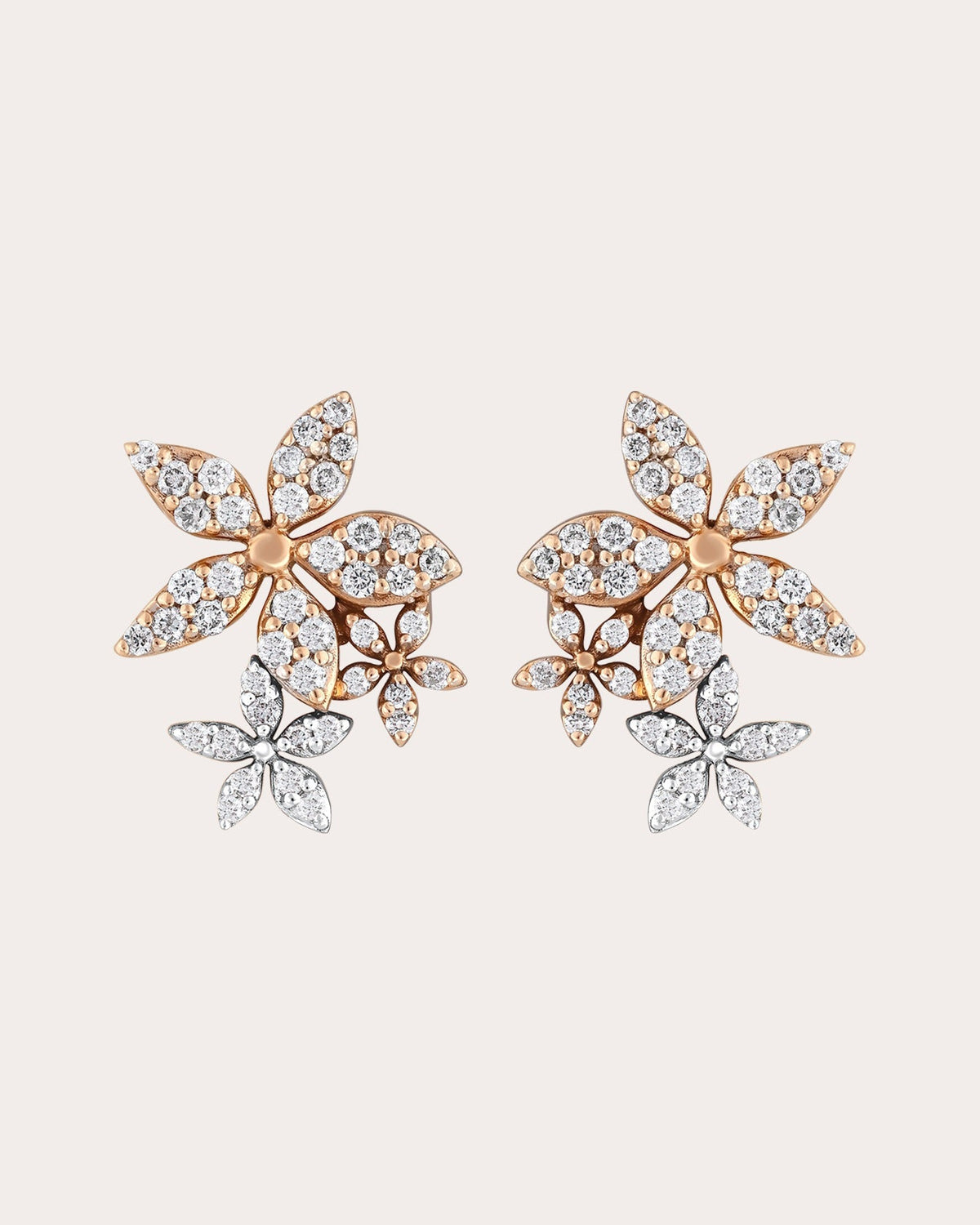 Diamond Apple Seed Tara Stud Earrings