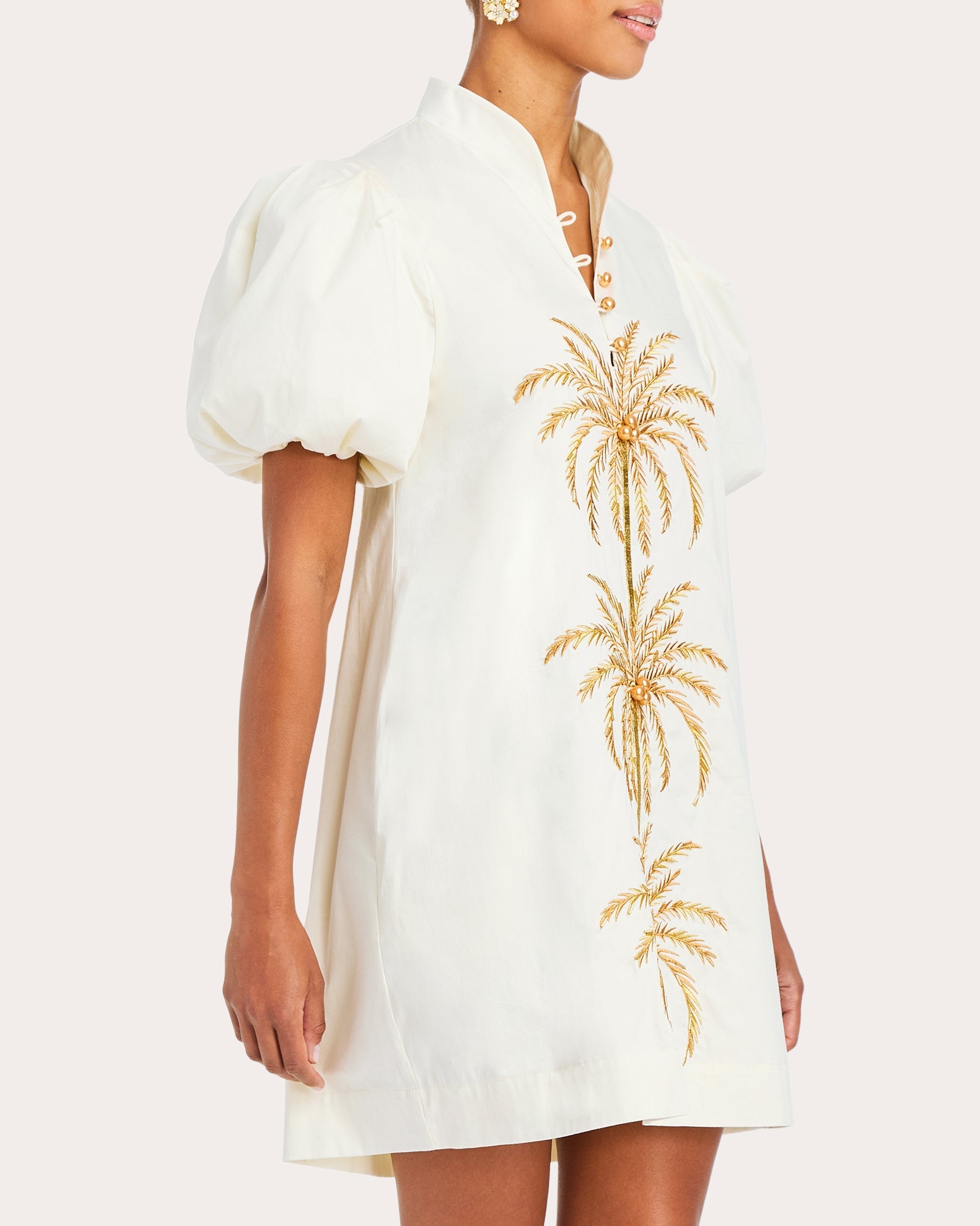 Elliana Embroidered Cotton Poplin Mini Dress