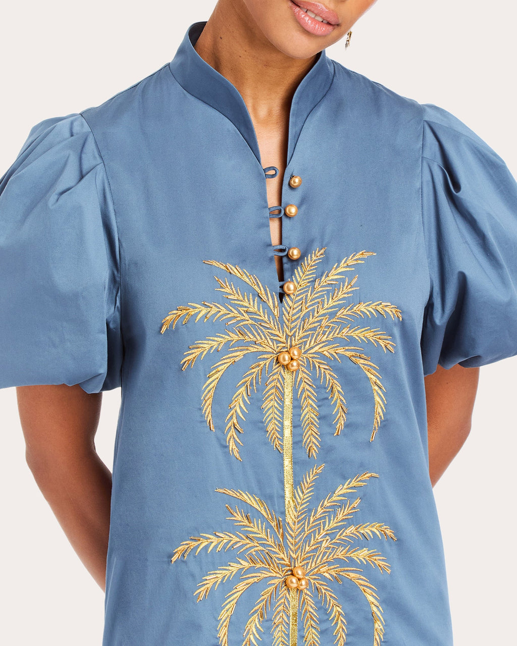 Elliana Embroidered Cotton Poplin Midi Dress