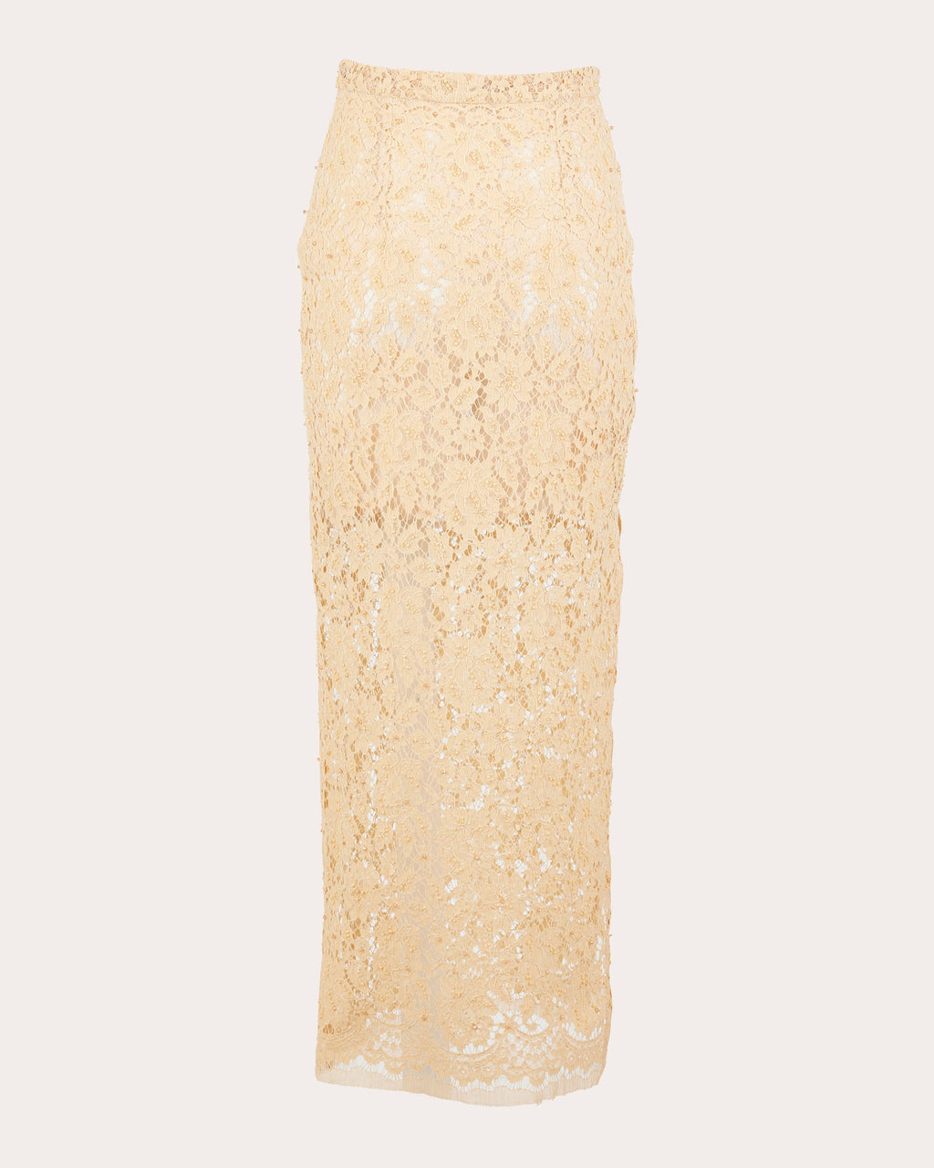 Miel Embroidered Lace Midi Skirt