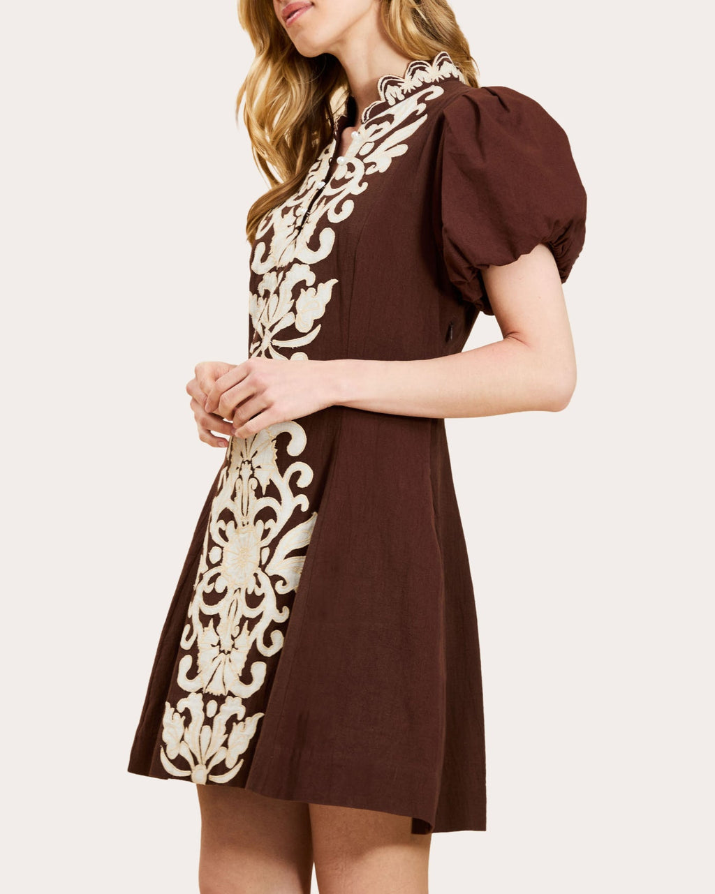 Flavia Embroidered Puff-Sleeve Mini Dress