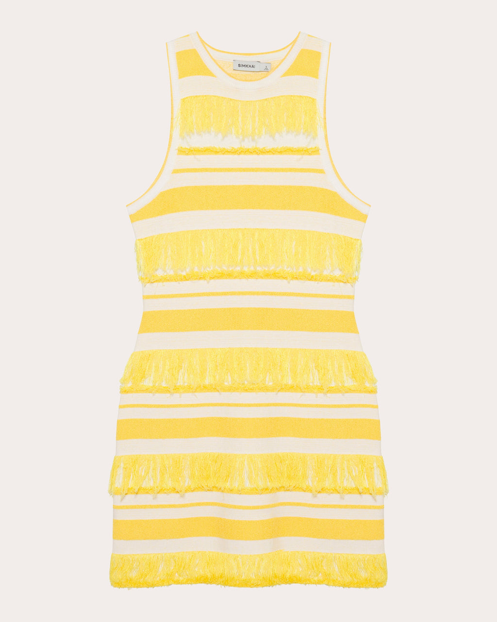 Elly Stripe Knit Fringe Sleeveless Mini Dress