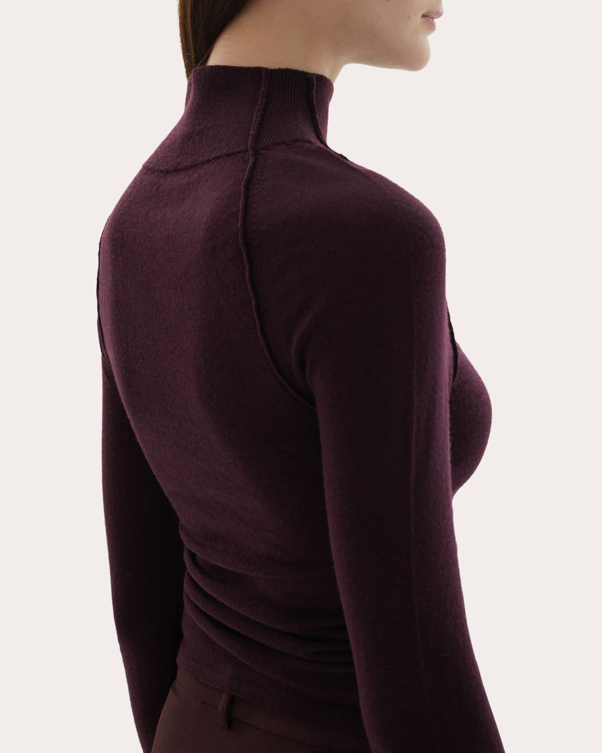 Pascal Wool Knit Fitted Mock Neck Top