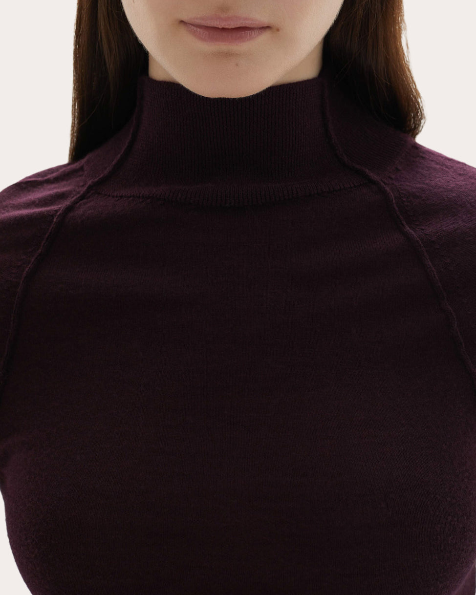 Pascal Wool Knit Fitted Mock Neck Top
