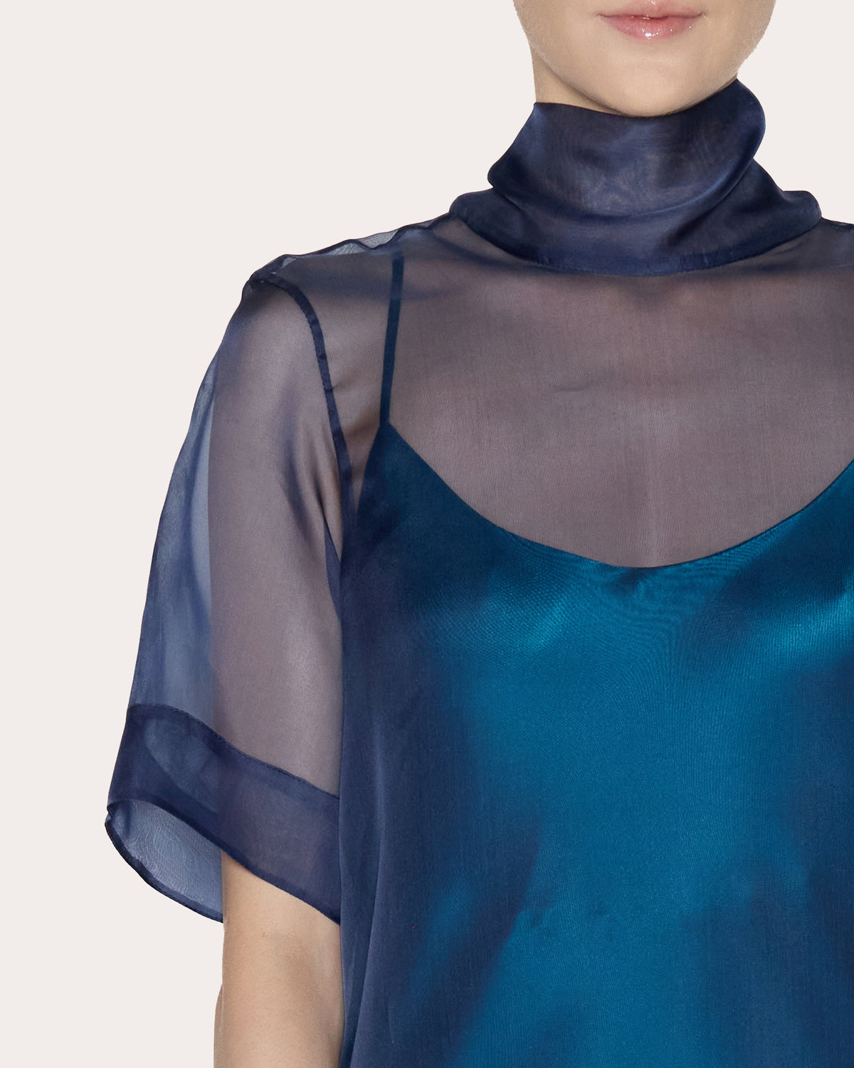 Perspective Sheer Silk Organza Maxi Dress