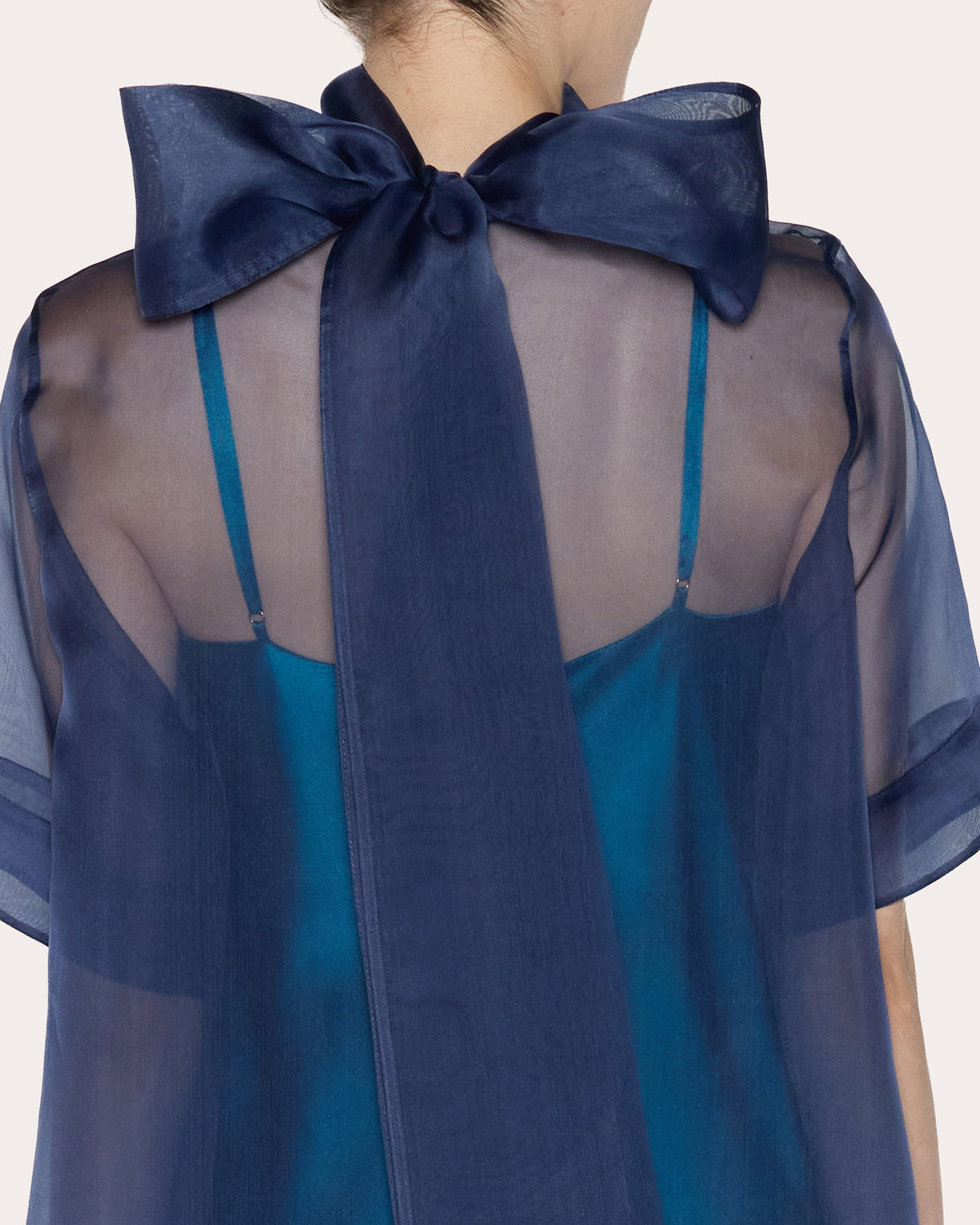 Perspective Sheer Silk Organza Maxi Dress