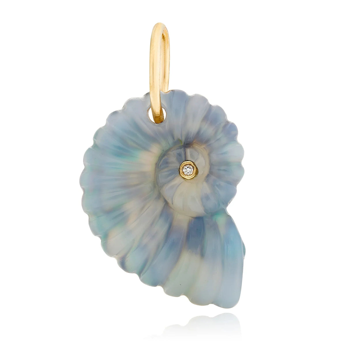 Small Luminescent Ammonite