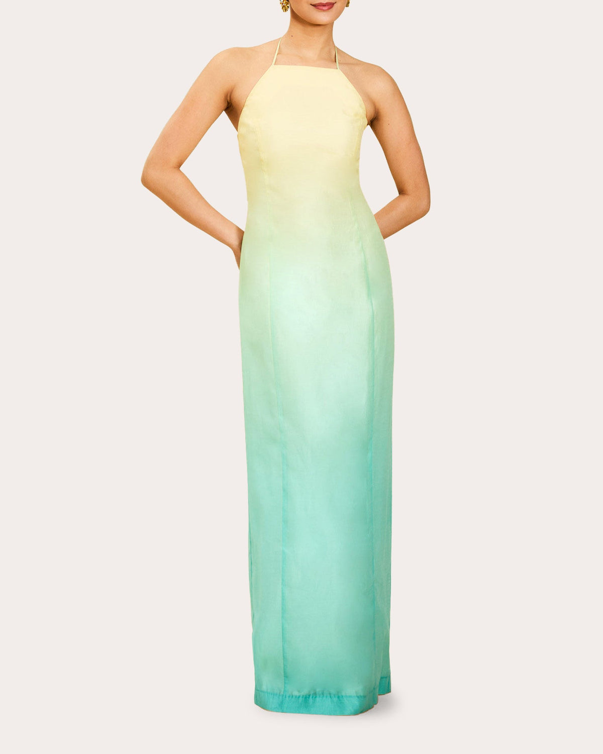 Mariposa Convertible™ Organza Train Gown