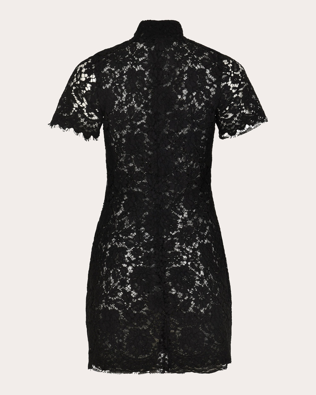 Moonlace Embroidered Floral Lace Mini Dress