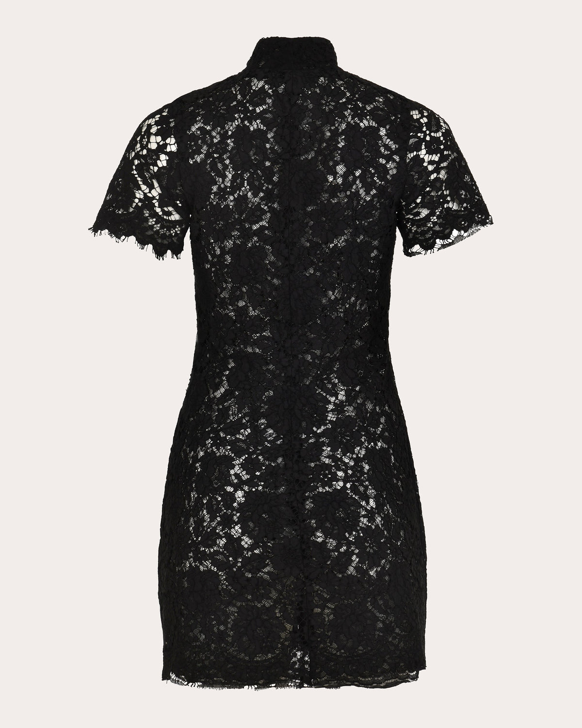 Moonlace Embroidered Floral Lace Mini Dress