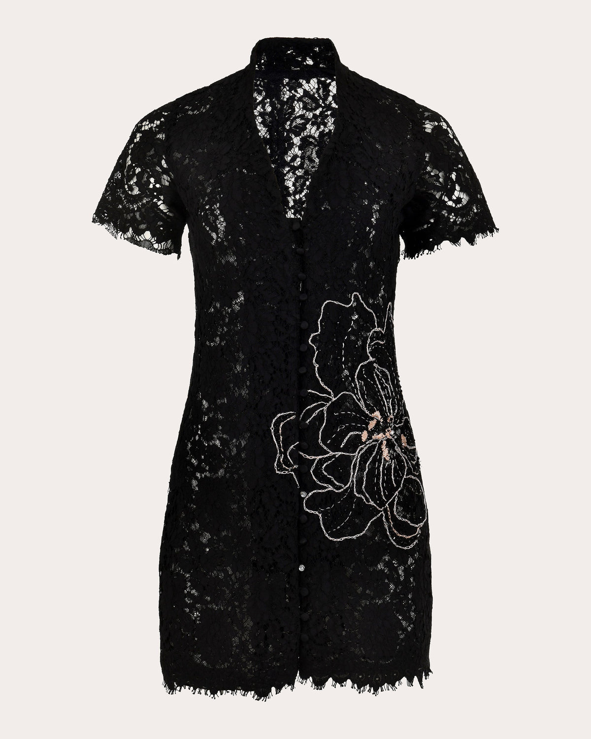 Moonlace Embroidered Floral Lace Mini Dress