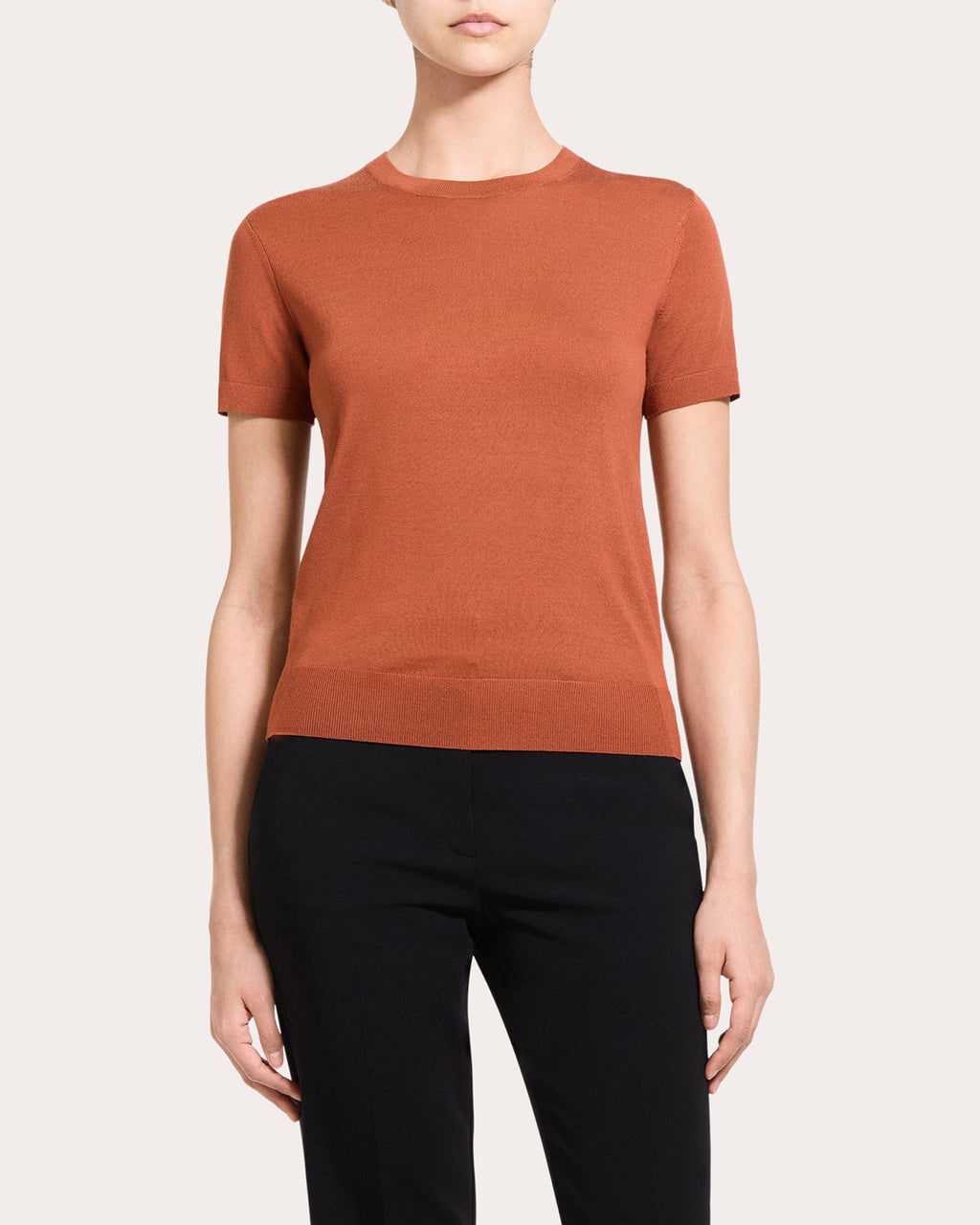 Regal Wool Basic Crewneck Top