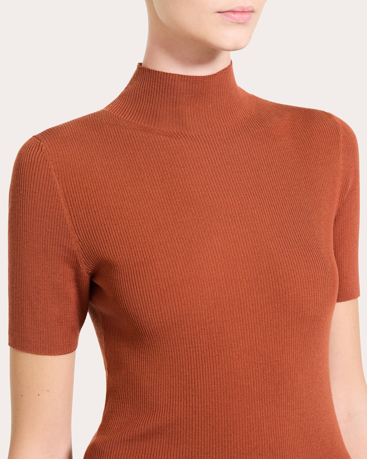 Leenda Ribbed Wool Mock Neck Top